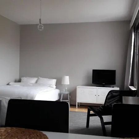 Northern Haven -studio Apartment, Self Check In, Free Wifi, Parking- Апартаменты Рованиеми